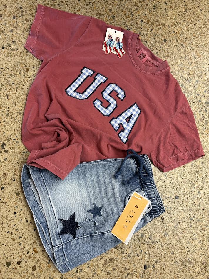 Gingham USA Tshirt