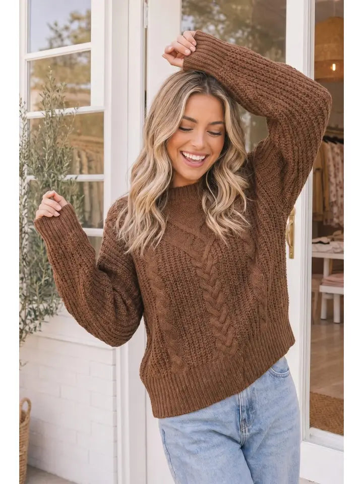Brown Textured Cable Knit Sweater Top
