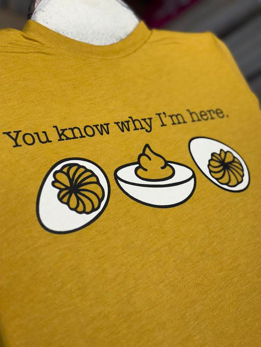 You Know Why I'm Here Tshirt (Kids)