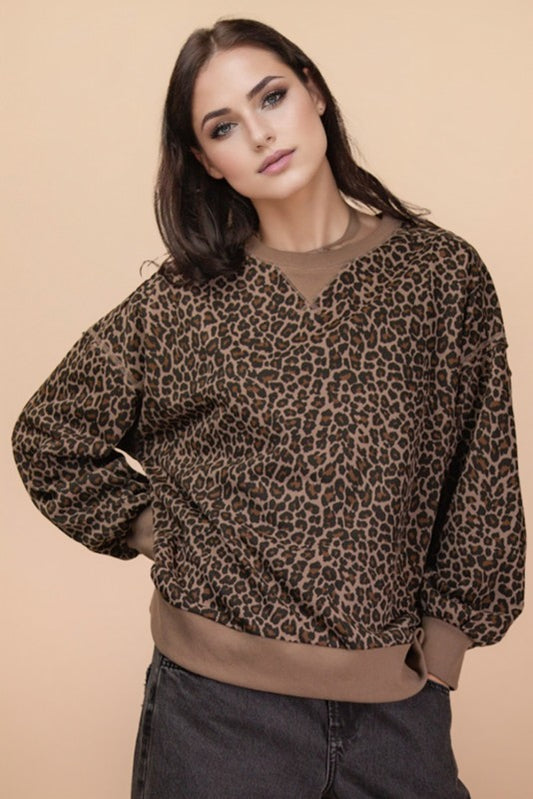 Leopard Printed Knit Top