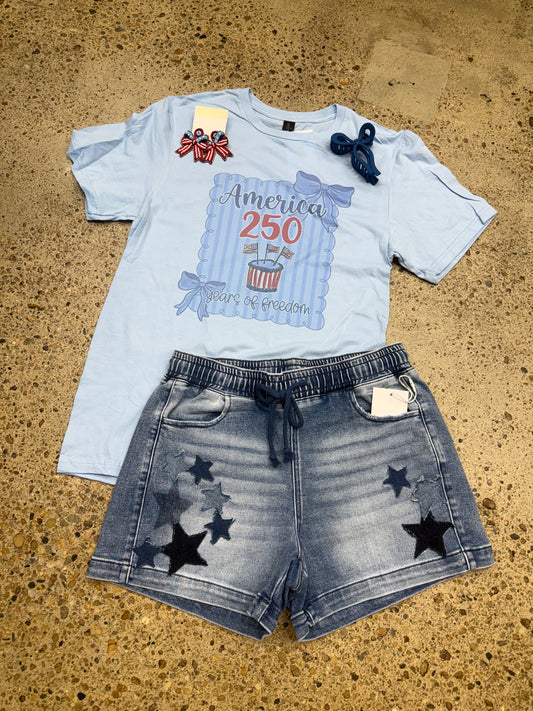 USA 250 Birthday Cake Tshirt