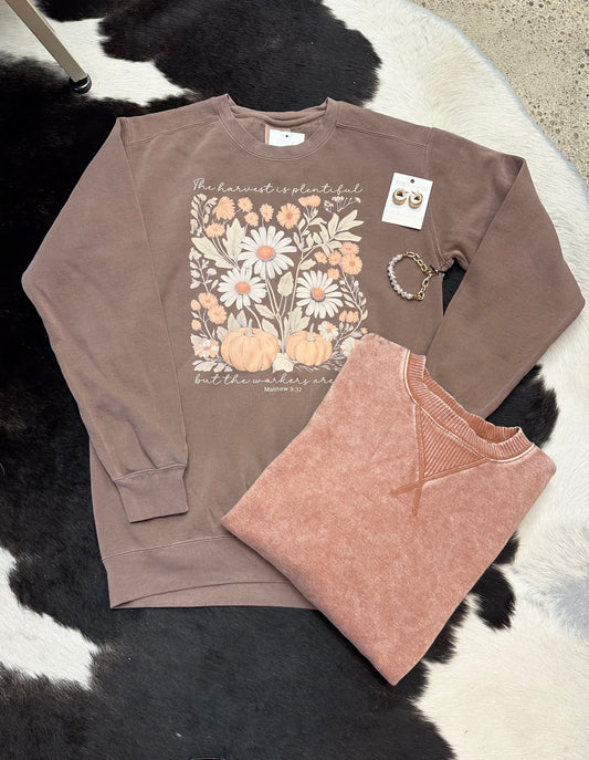 Harvest is Plenty Sweatshirt
