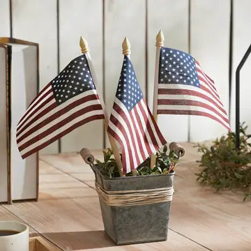 Americana Flag Picks Set of 3